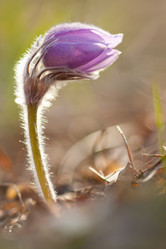 Similar image 628115