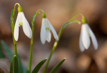 Similar image 628116