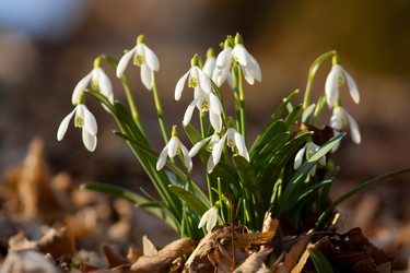 Similar image 628117