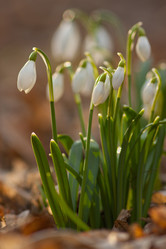 Similar image 628118