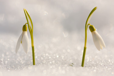 Similar image 628119