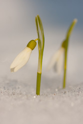 Similar image 628121