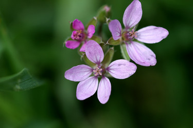 Similar image 628123