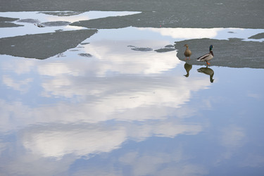 Similar image 628142