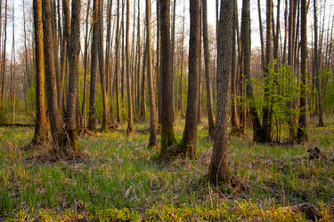 Similar image 628143