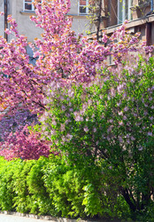 Similar image 628148