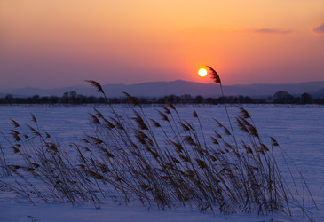 Similar image 628207