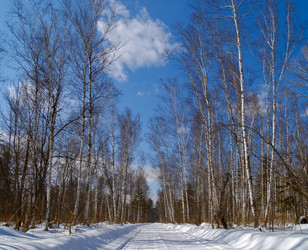 Similar image 628210