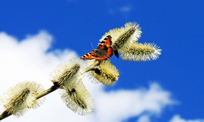 Similar image 628218