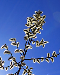 Similar image 628219