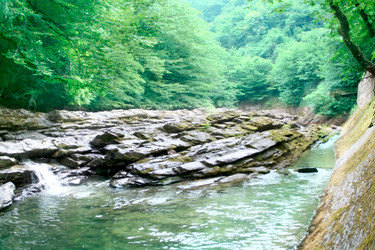 Similar image 628242