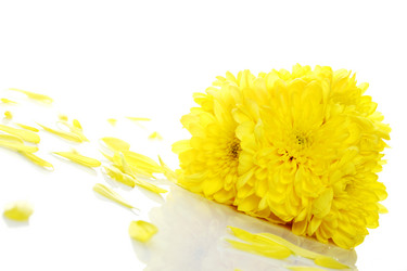 Similar image 628321