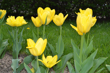 Similar image 628329