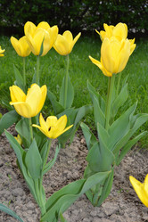 Similar image 628330