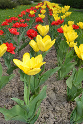 Similar image 628331