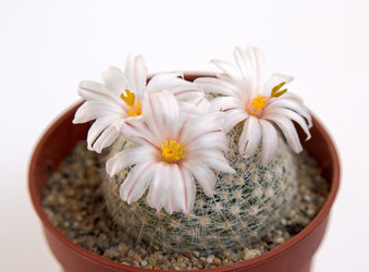 Similar image 628334