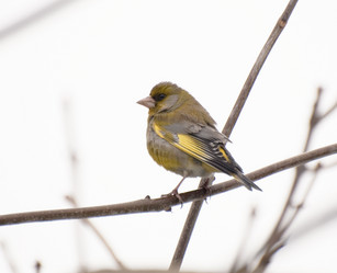 Similar image 628343