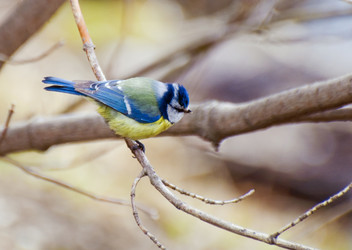 Similar image 628344