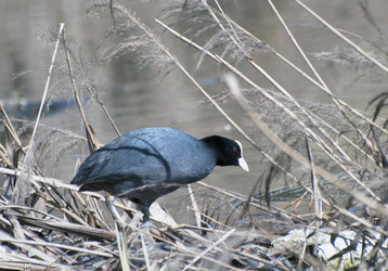 Similar image 628345