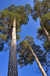 Similar image 628351