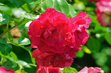 Similar image 628525