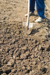 Similar image 628528