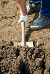 Similar image 628529