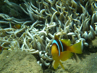 Similar image 628538