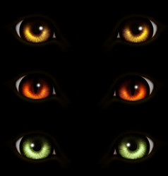 Similar image 628542