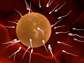 Similar image 628559