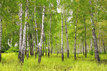 Similar image 628589