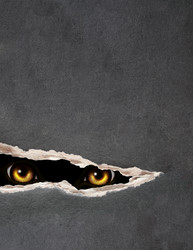 Similar image 628632