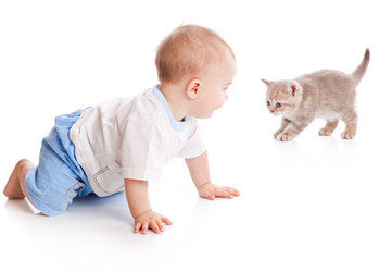 Similar image 628650