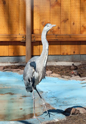 Similar image 628653