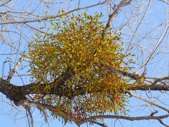 Similar image 628724