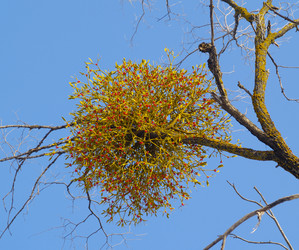 Similar image 628725