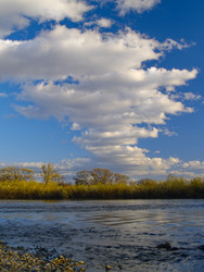 Similar image 628728