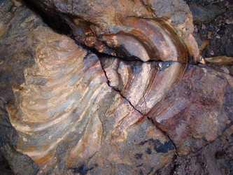 Similar image 628742