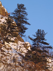 Similar image 628745