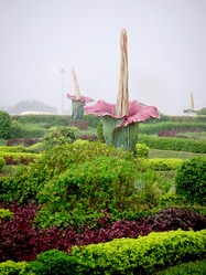 Similar image 628812