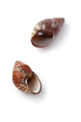 Similar image 629007