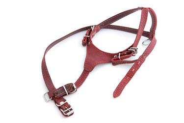 Similar image 629043