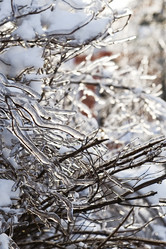 Similar image 629085