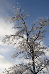 Similar image 629094