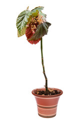 Similar image 629233