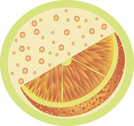 Similar image 629236