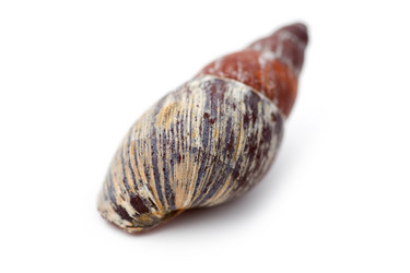 Similar image 629238