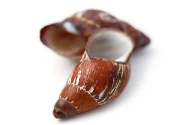 Similar image 629240