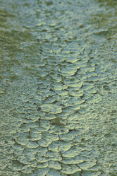 Similar image 629296