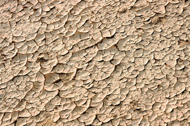 Similar image 629305